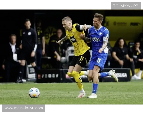 罗伊斯观众席观战多特,旧将回归引发球迷欢呼